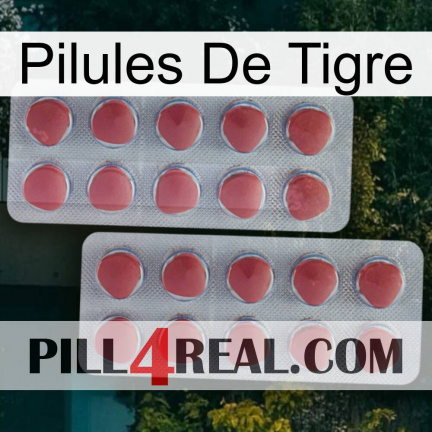 Tiger Pills 19